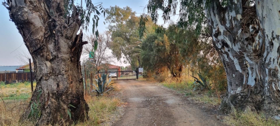 4 Bedroom Property for Sale in Bainsvlei Free State